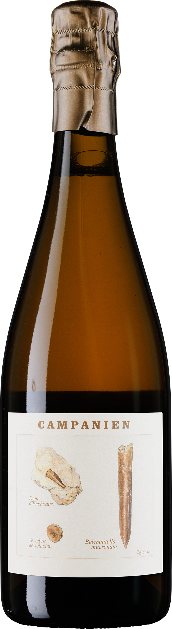 Campanien R19