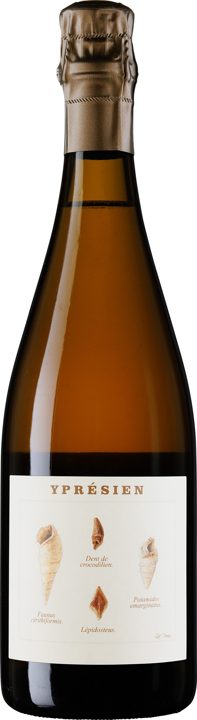 Yprésien R19