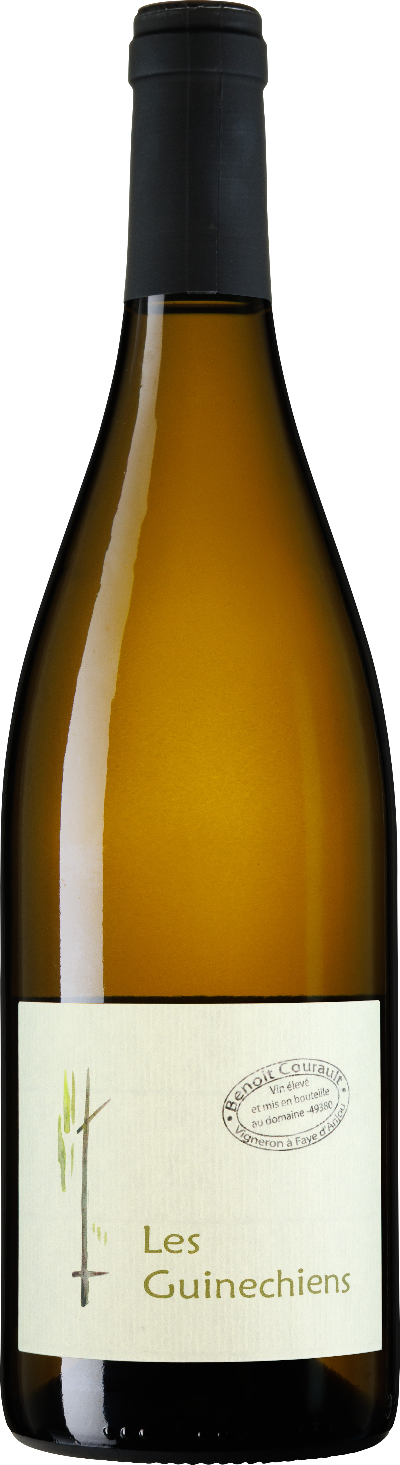 Les Guinechiens 2023