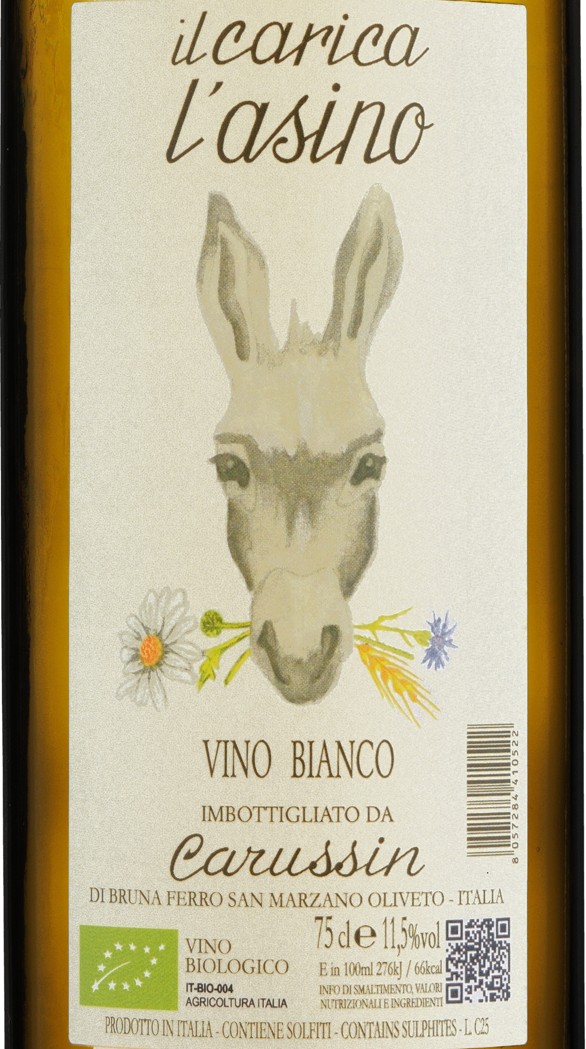 Carica l'Asino 2025