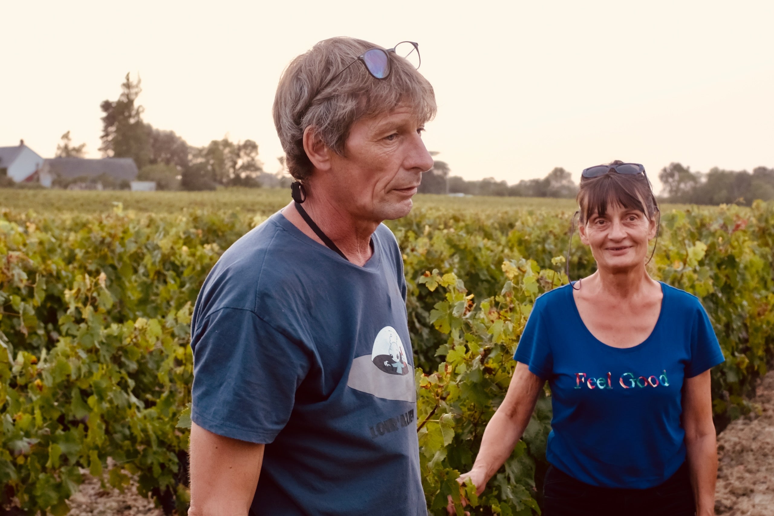 Les Vignes de Babass