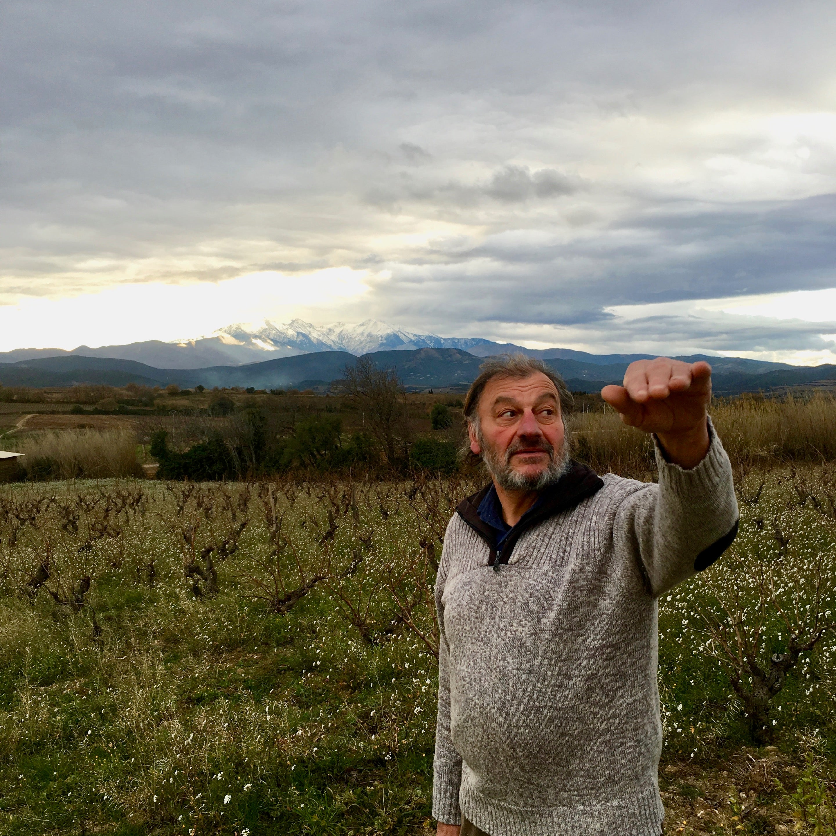 Les Vins du Cabanon