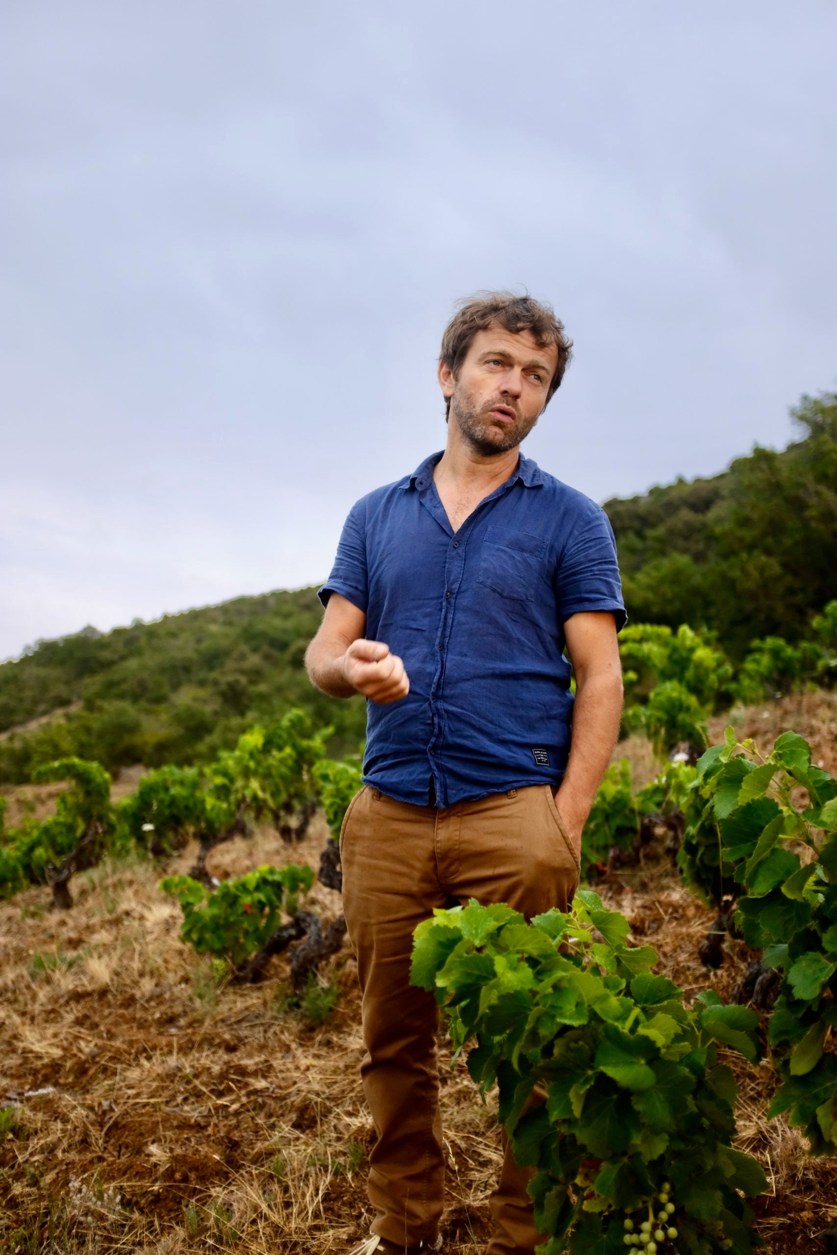 Domaine Rouge Gorge