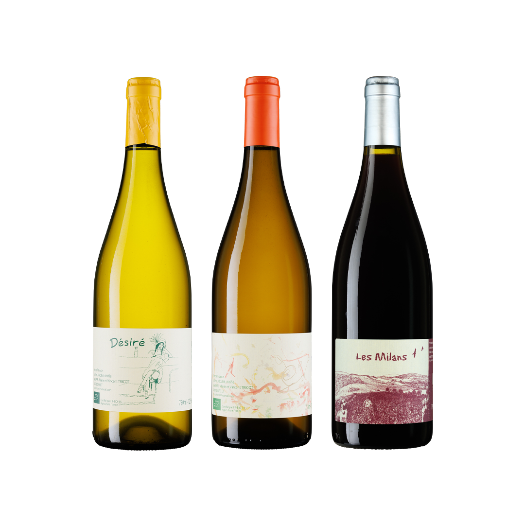 Hallå från Marie & Vincent Tricot!