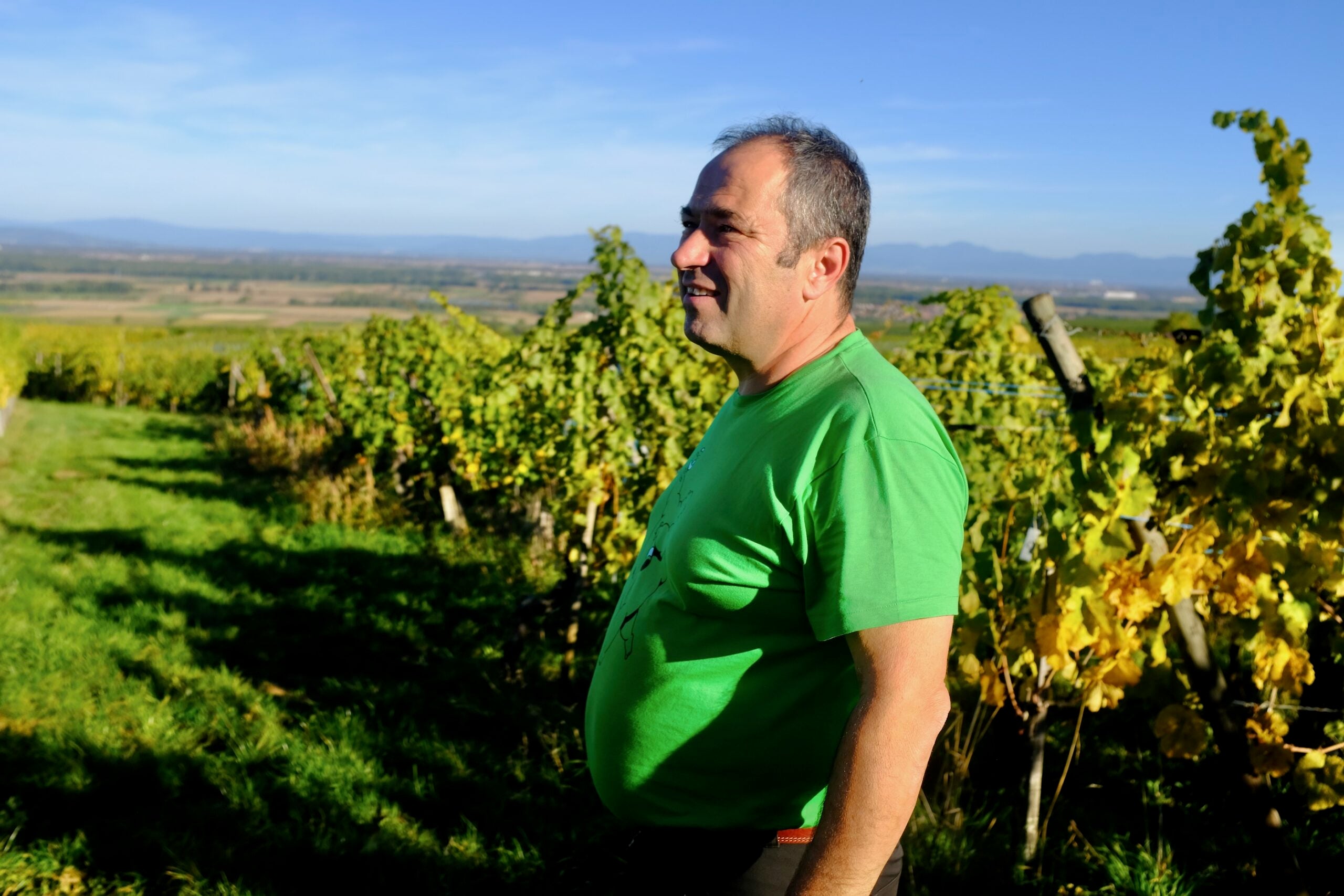 Gérard Schueller et Fils