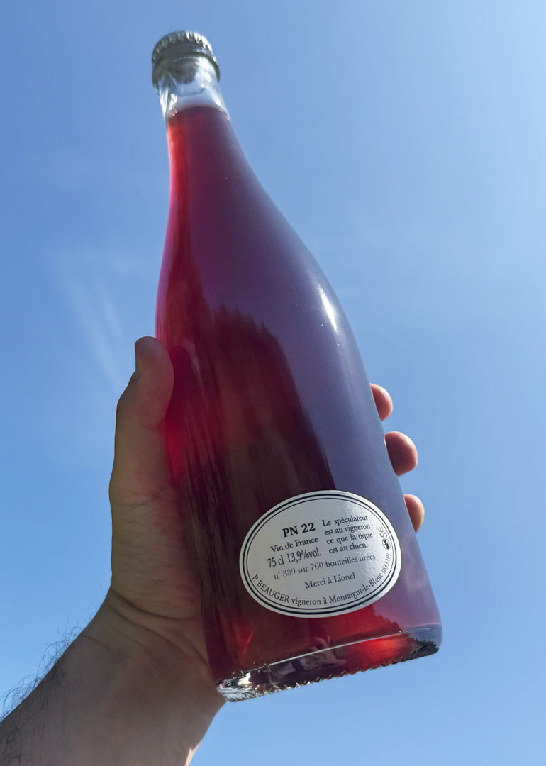 Pinot Noir 2022
