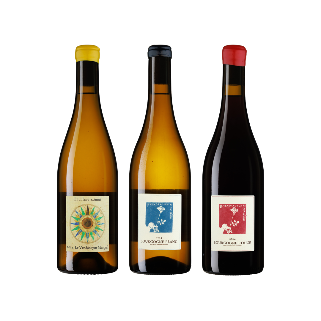 Hallå från De Moor 2024!