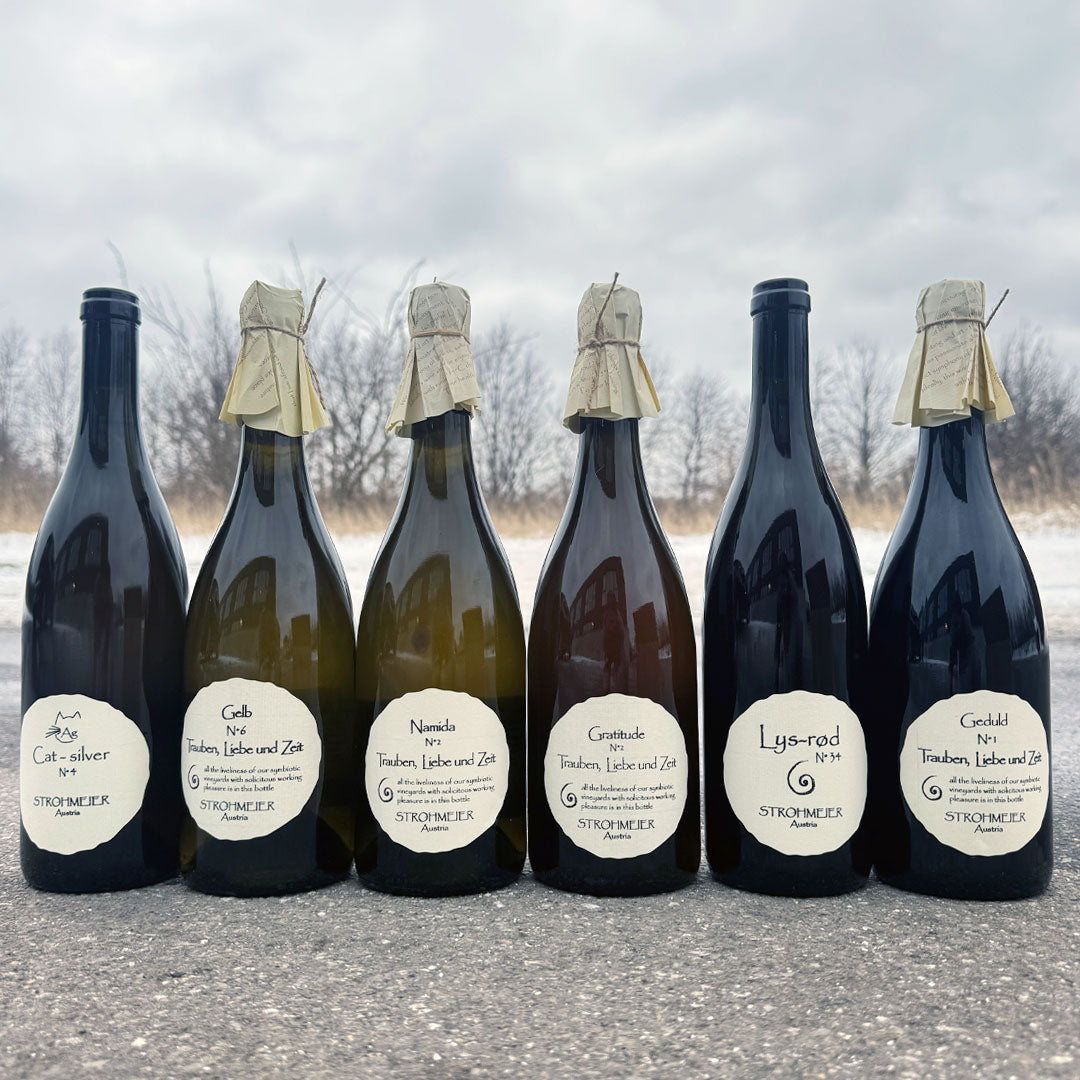 Hej igen från Strohmeier!