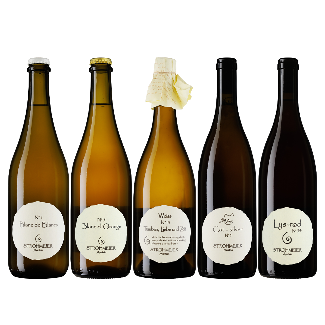 Hej från Strohmeier!